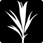 Brand Development Seed SVG Icon
